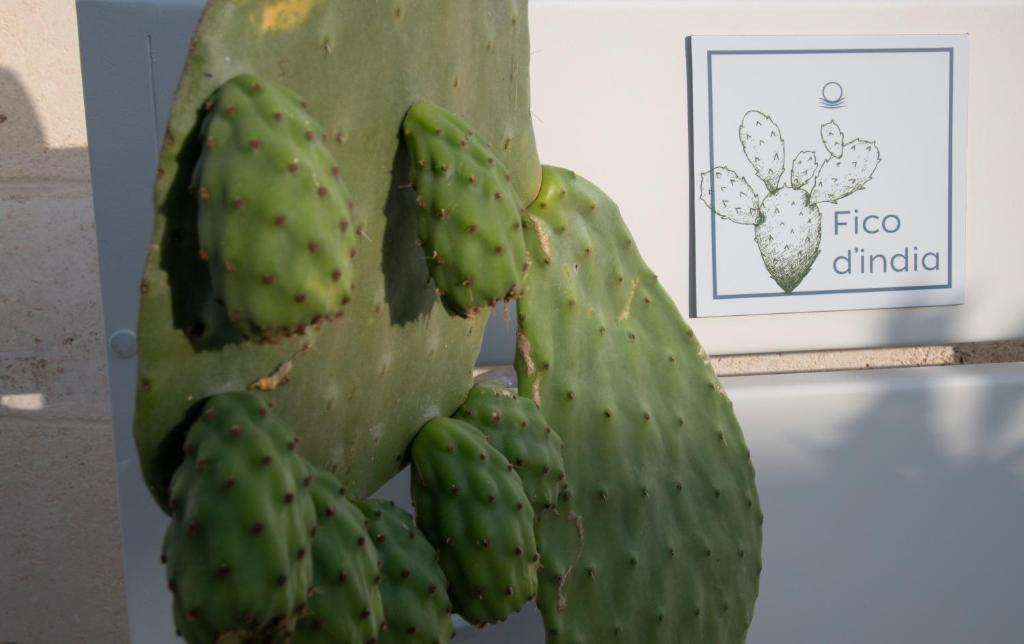 Fotografie z fotogalerie ubytování Livantea Agriresort e Residence v destinaci Otranto