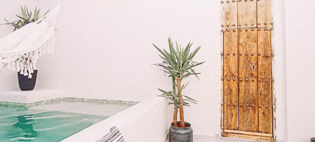 Ronda City Wall Apartments with Private Pool - 14