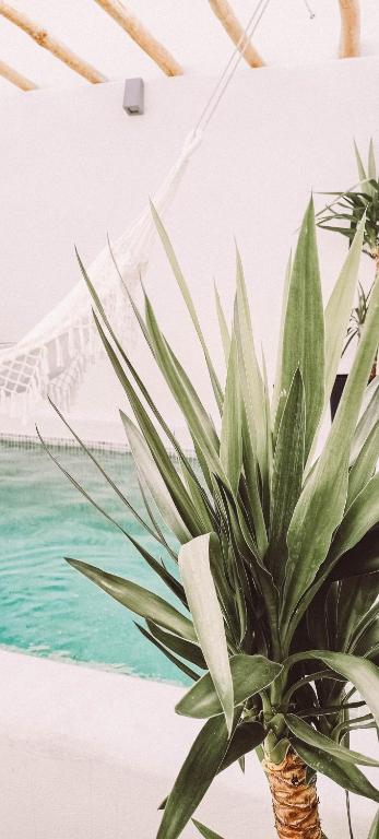 Ronda City Wall Apartments with Private Pool - 18