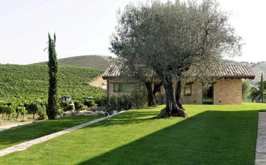 Relais Cocci Grifoni - Panoramic Wine Resort