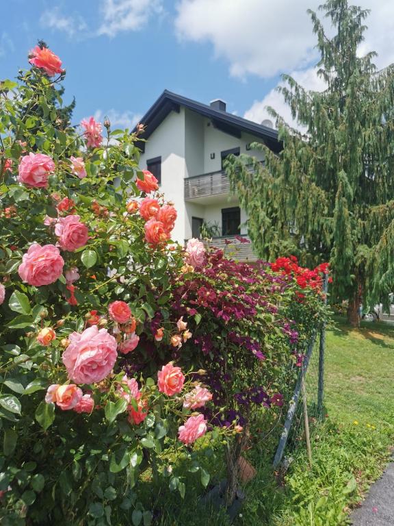 Zahrada ubytování Winzer Suite - Weingut Dietl