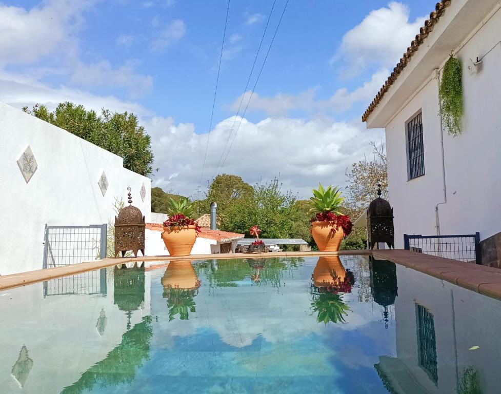 a swimming pool with two flower pots on the side of a house at Casa Bakara in Vejer de la Frontera