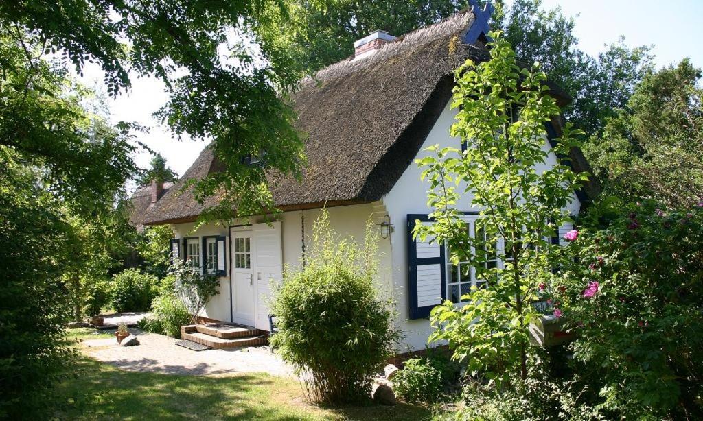 a small white house with a thatched roof at Strandhaus in Ahrenshoop