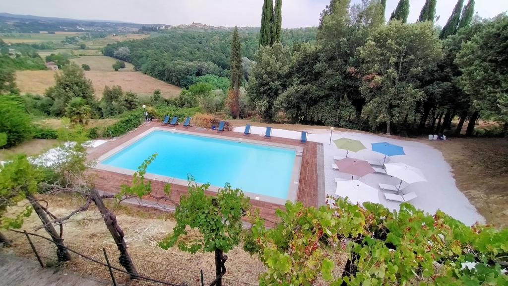 an overhead view of a swimming pool in a garden at The hunter house in Castelfiorentino
