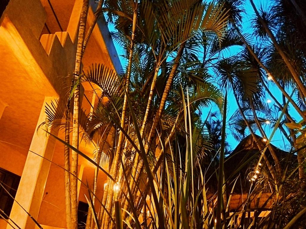 Zahrada ubytování Hotel Barrio Latino