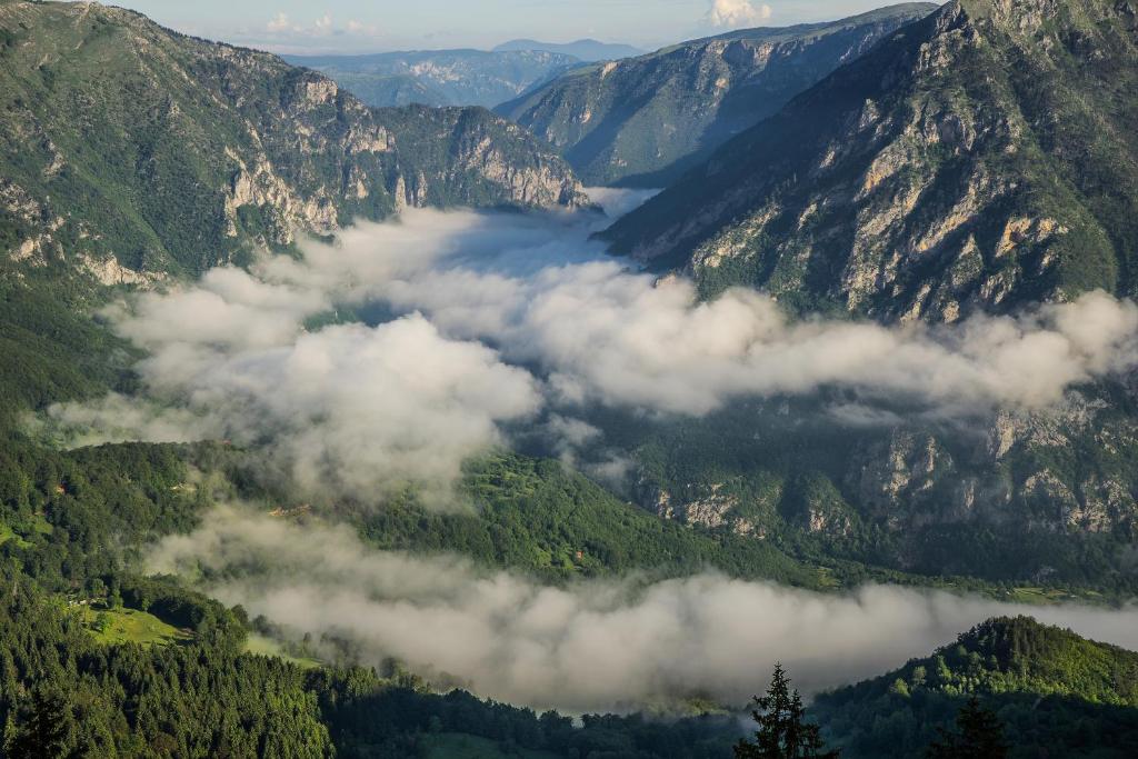 un valle de nubes en una cordillera en Vila Tijana, en Žabljak