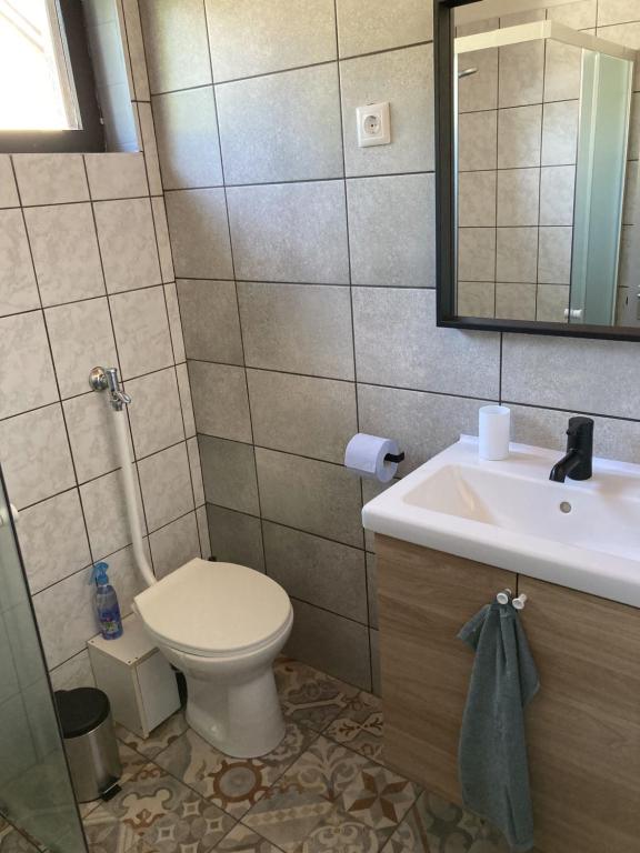 Kúpeľňa v ubytovaní Zöldike Vendégház