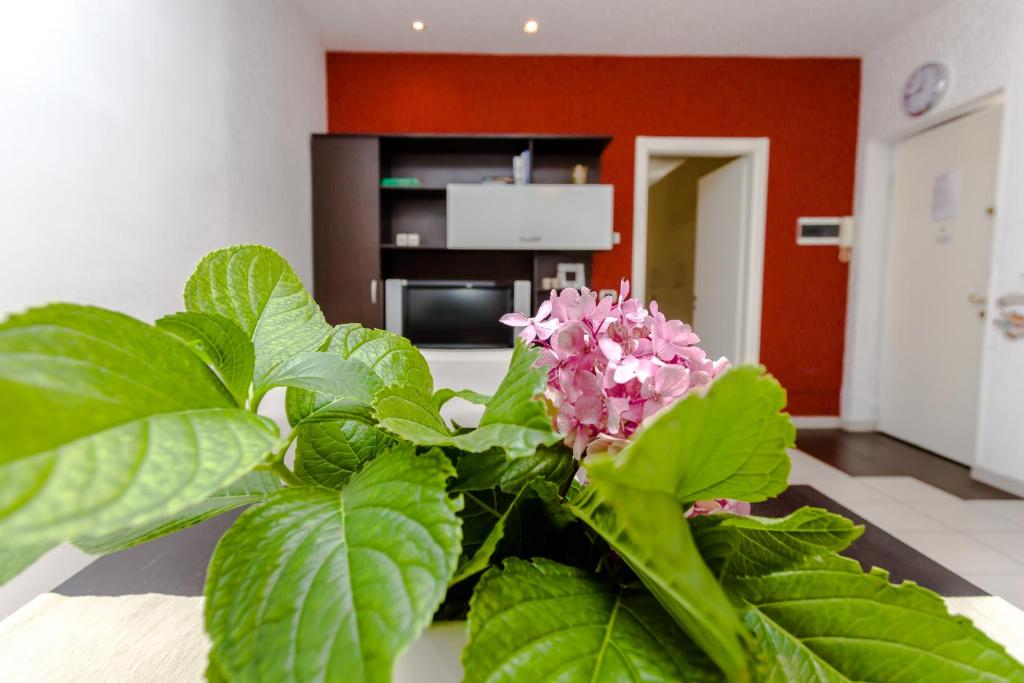 Fotografie z fotogalerie ubytování My home 1 v destinaci Fagnano Olona
