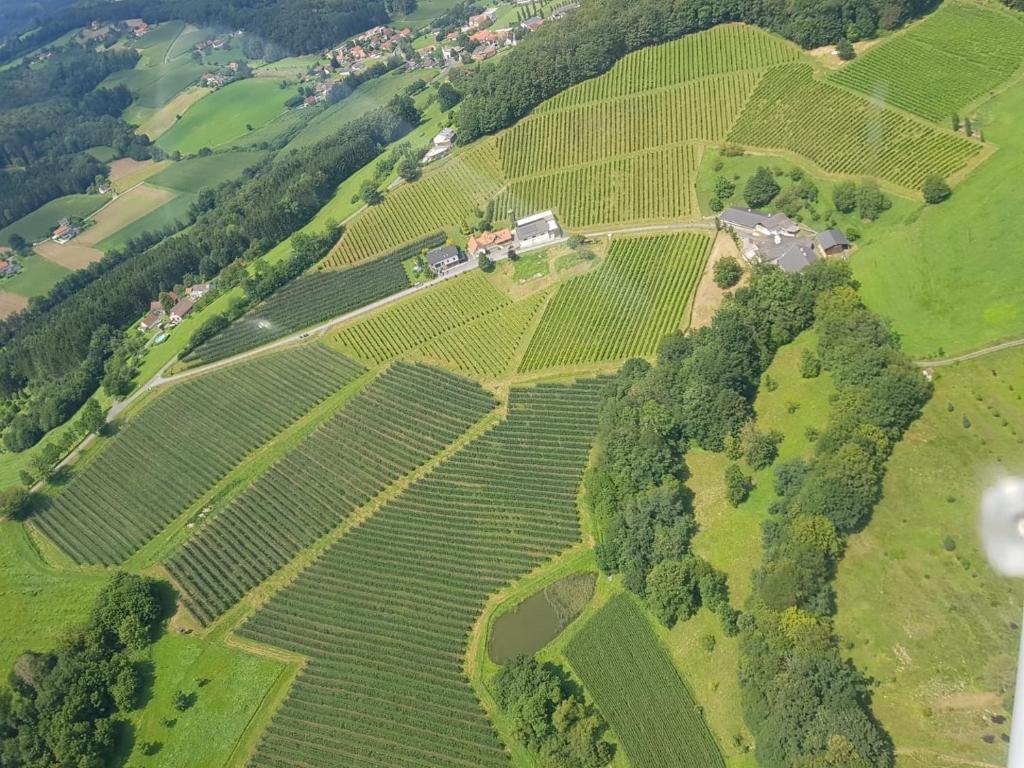Příroda nedaleko apartmánu