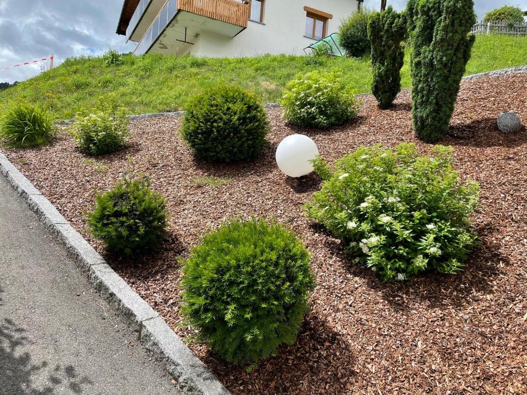 A garden outside Haus Resi