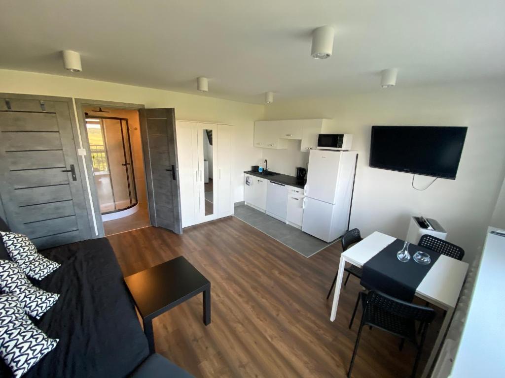 Kuchnia lub aneks kuchenny w obiekcie Apartamenty Czapla