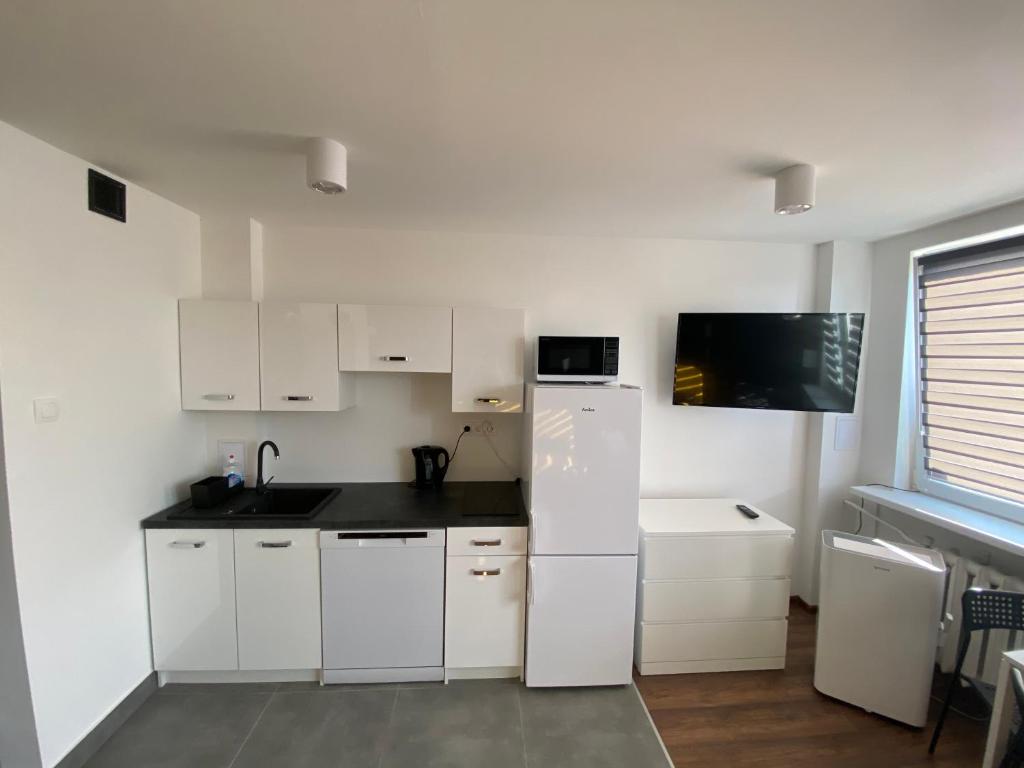 Kuchnia lub aneks kuchenny w obiekcie Apartamenty Czapla