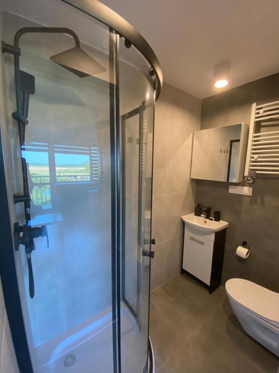 łazienka z prysznicem i toaletą w obiekcie Apartamenty Czapla w mieście Mikołajki
