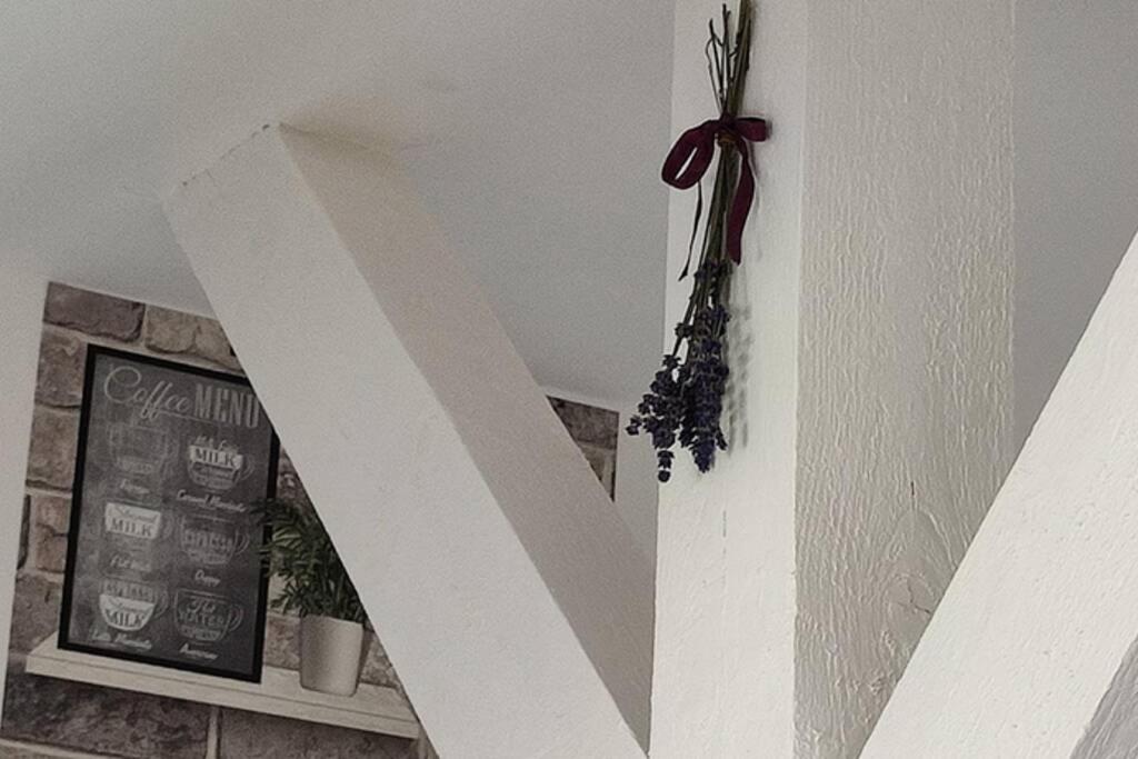 Zdjęcie z galerii obiektu Studio - Café Princ pod Hradem, KLIMA, WiFi w mieście Šternberk