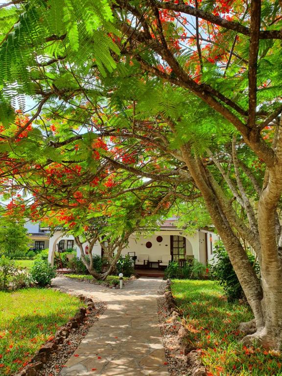 Zahrada ubytování Flame Tree Cottages