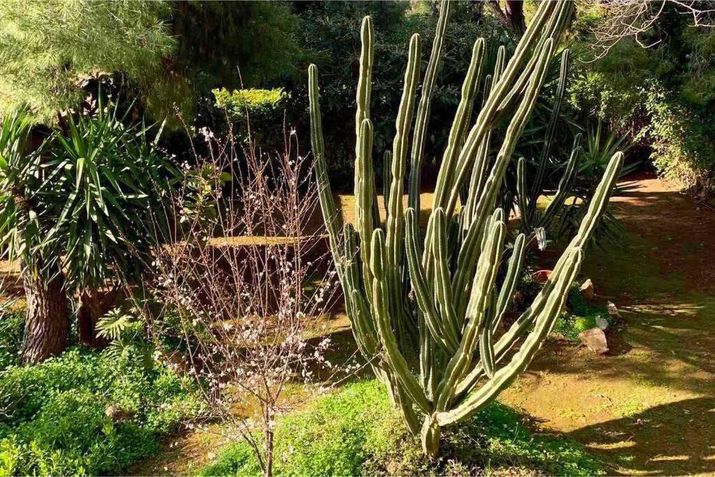 Ogród w obiekcie Athens Riviera Garden Views Apartment #Unoblu
