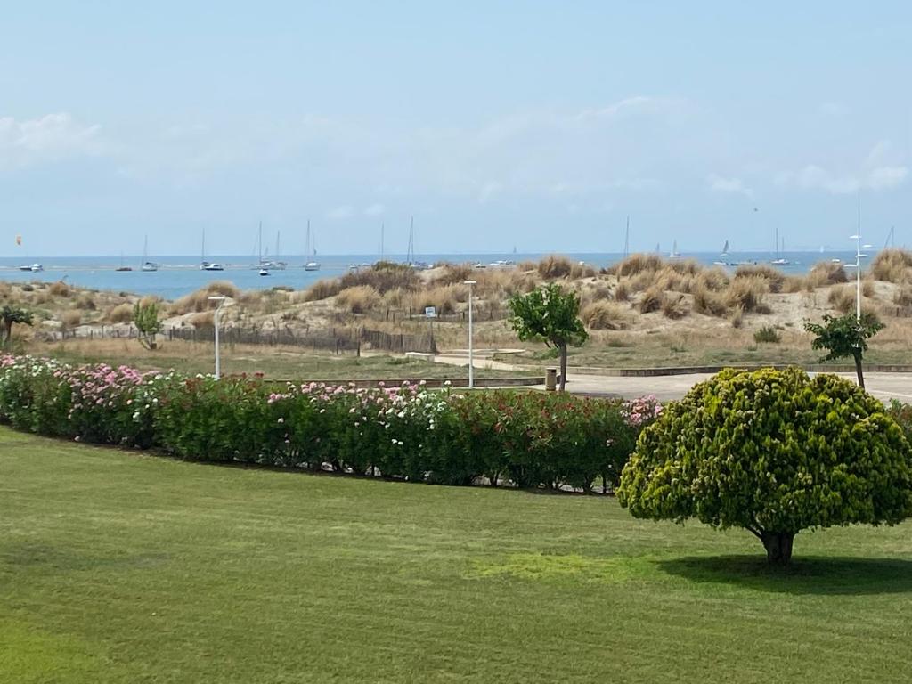 un parc avec une rangée de buissons et de fleurs dans l'établissement PORT CAMARGUE Studio vue mer, au Grau-du-Roi