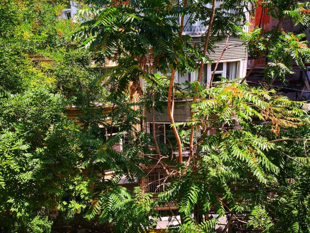 Zahrada ubytování Gafa Garden Hostel & Apartments - Great Location