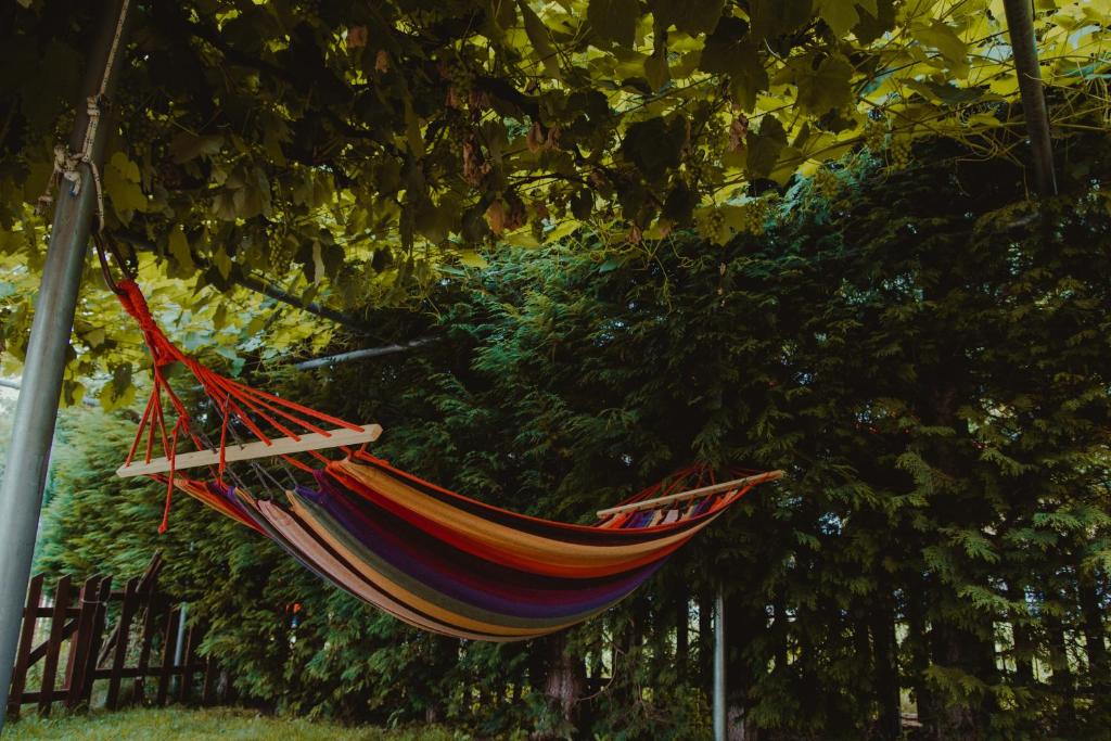 Fotografie z fotogalerie ubytování Apartment Silence v destinaci Plužine