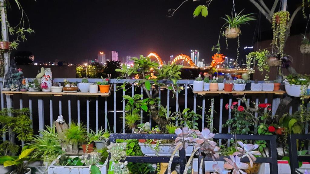 Vườn quanh Sena home 4th-Rooftop Overlooking Danang Dragon bridge