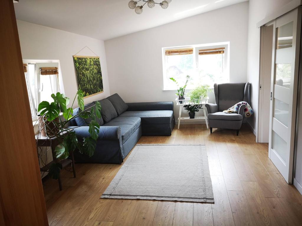 a living room with a blue couch and a chair at Apartament w Dolinie Popradu 2 in Piwniczna-Zdrój