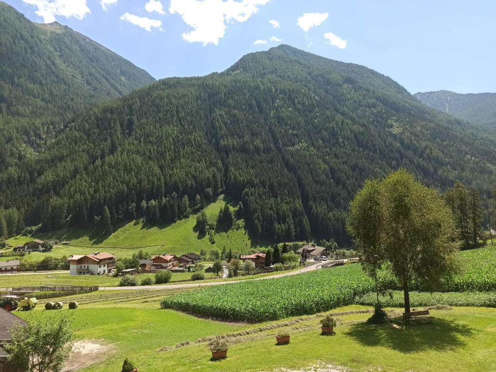 a view of a valley with mountains in the background at Pension Ederhof in San Giacomo