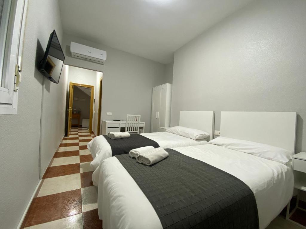 1 dormitorio con 2 camas y TV en la pared en FONDA CHIQUITO en Alhama de Almería