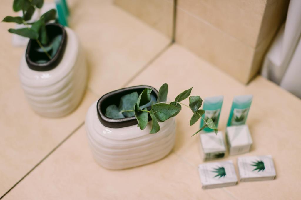 Hotel Timisoara - Resim 20