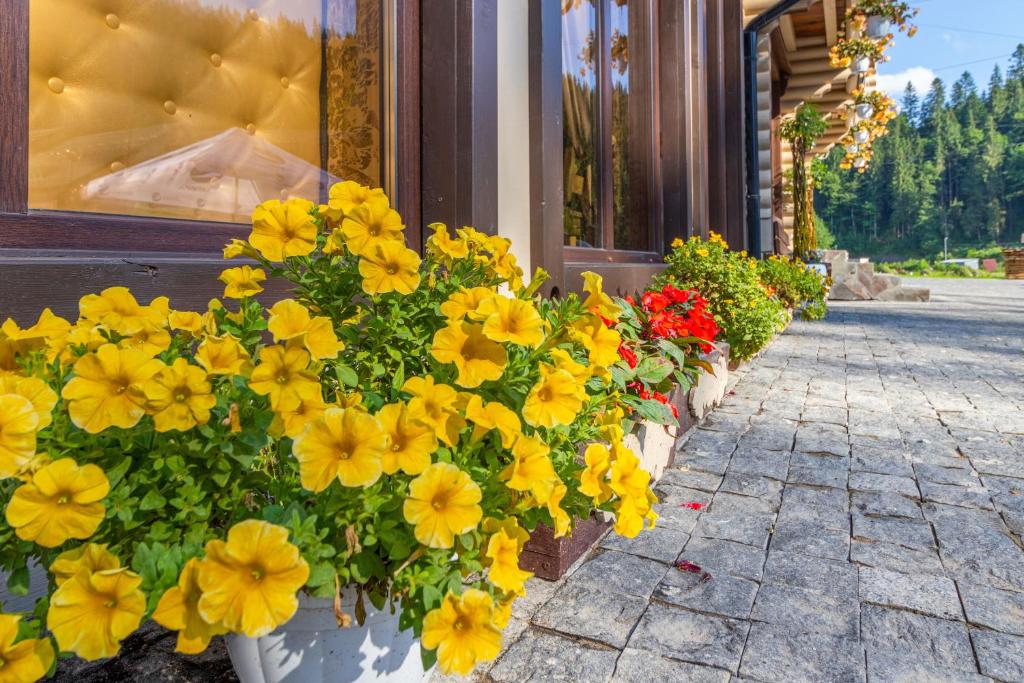 Zahrada ubytování Guest House Turda