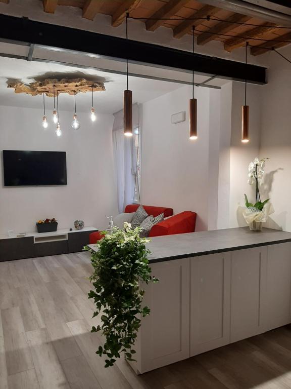 kuchnia i salon z ladą i kanapą w obiekcie B&B da Baba w mieście Ghizzano
