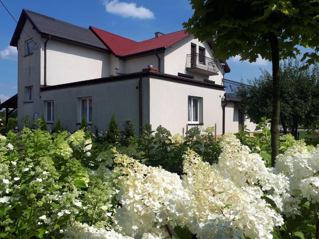 Zahrada ubytování Willa Aida