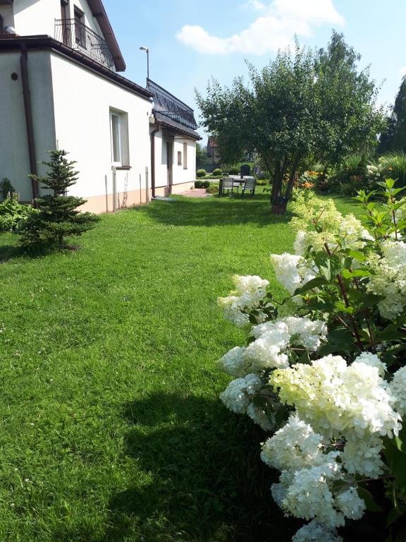 Zahrada ubytování Willa Aida