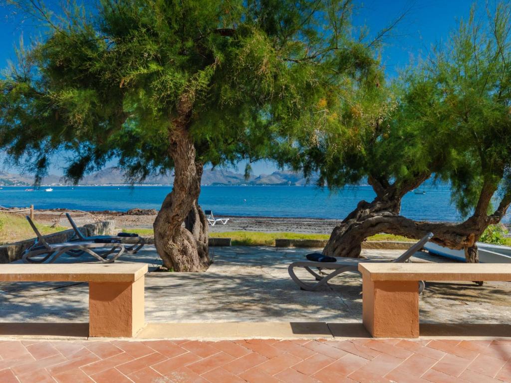 Táj Show holiday homes közelében