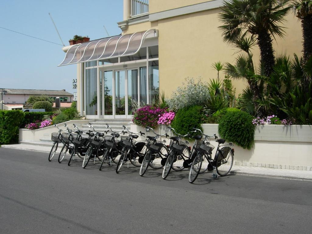 Fotografie z fotogalerie ubytování Savoy Hotel v destinaci Marina di Pietrasanta
