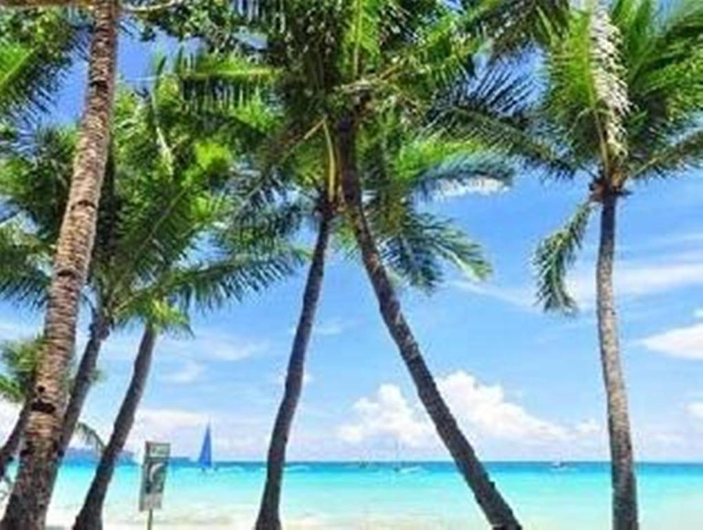 
a beach with palm trees and palm trees at Boracay Coco Huts in Boracay
