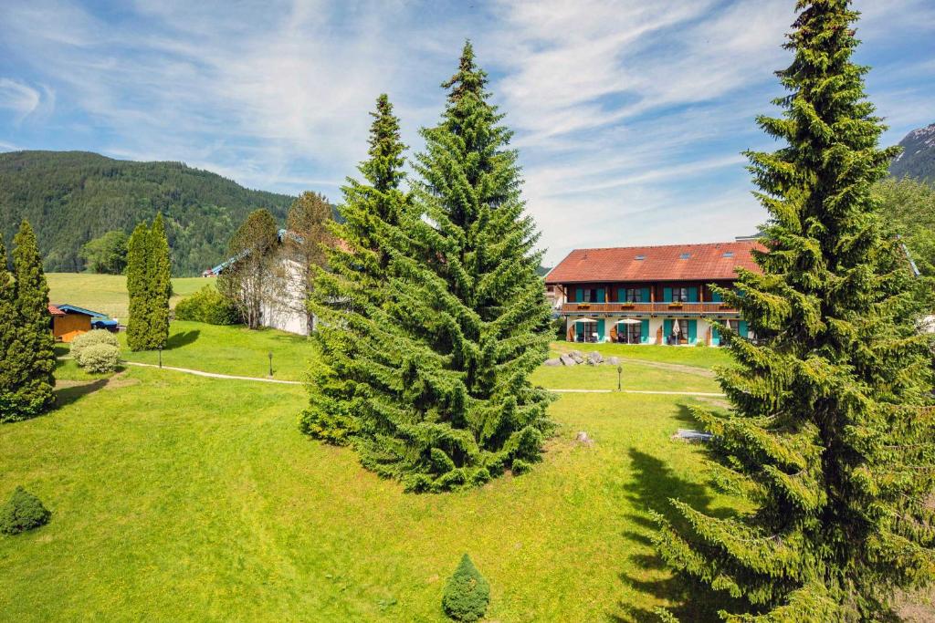 Příroda nedaleko hotelu