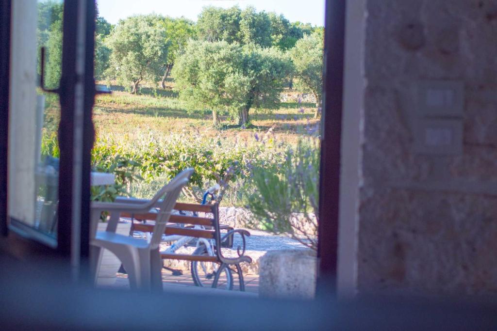 A garden outside Trullo Sweet Trullo