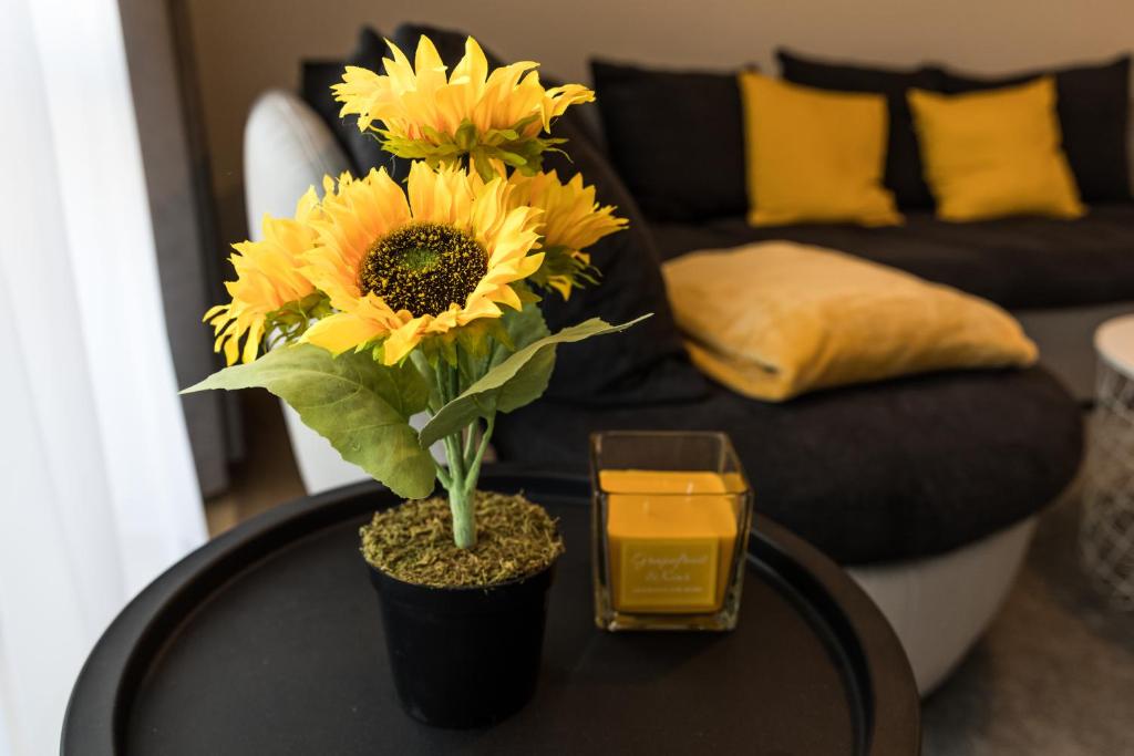 Deluxe Thermal Resort - Apartamento De Lujo