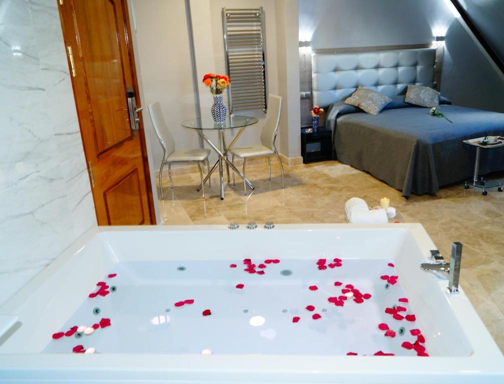 Caballero Errante - Resim 36