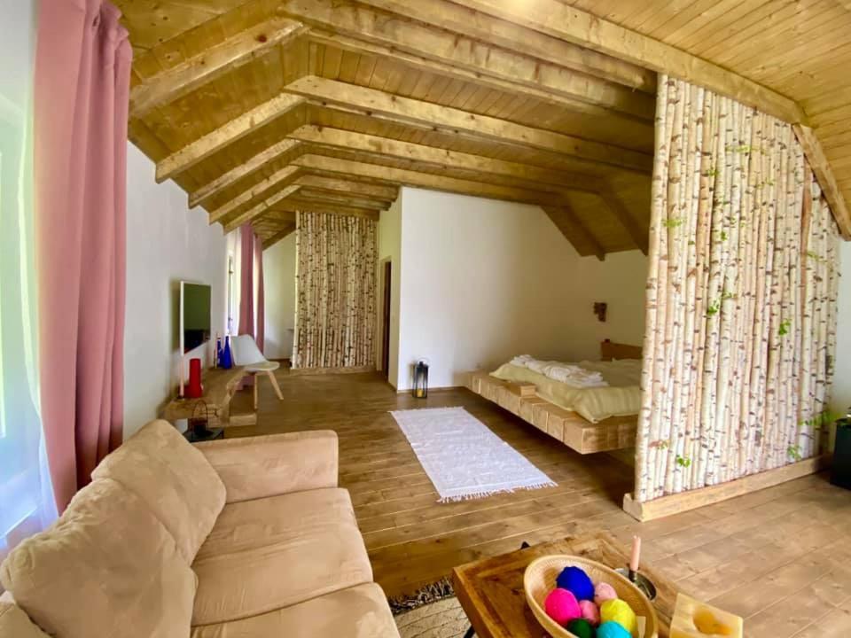 ein großes Wohnzimmer mit einem Bett und einem Sofa in der Unterkunft Intense Room in Remeţi