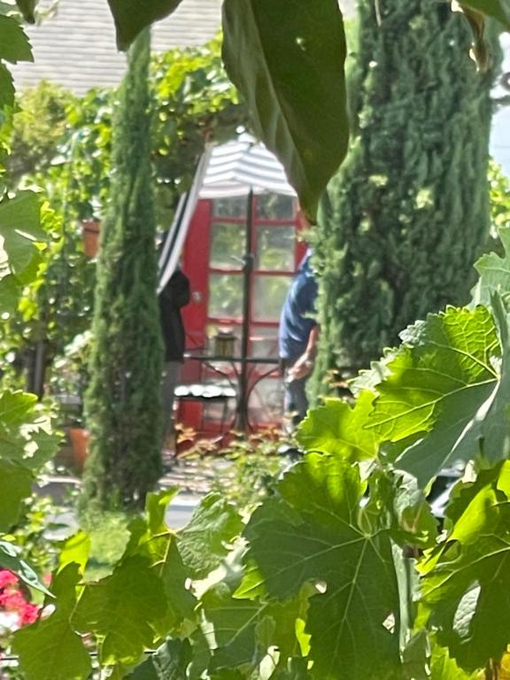 Gallery image of Chardonnay Lodge in Napa