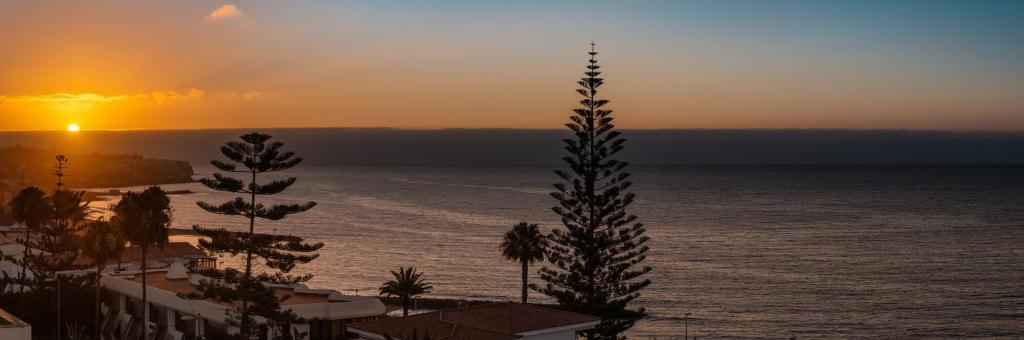 Roca Verde - Playa del Inglés, Playa del Inglés – Precios ...