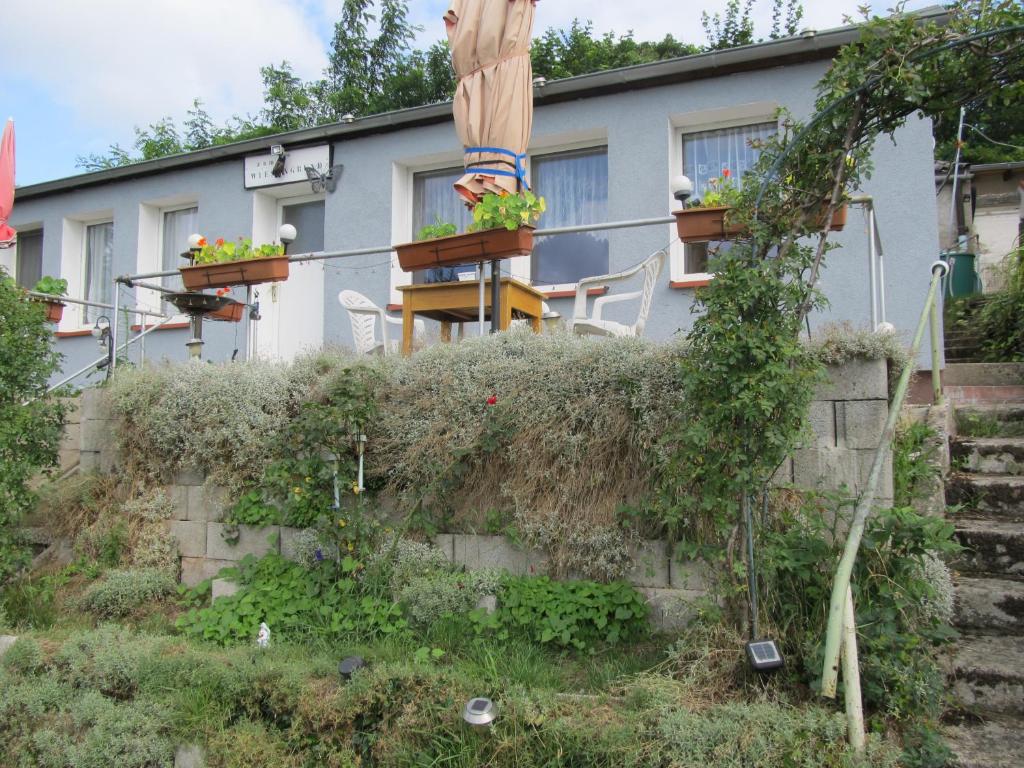 a house with a bunch of plants on a wall at zum Wiesengrund im Oderbruch in Altglietzen