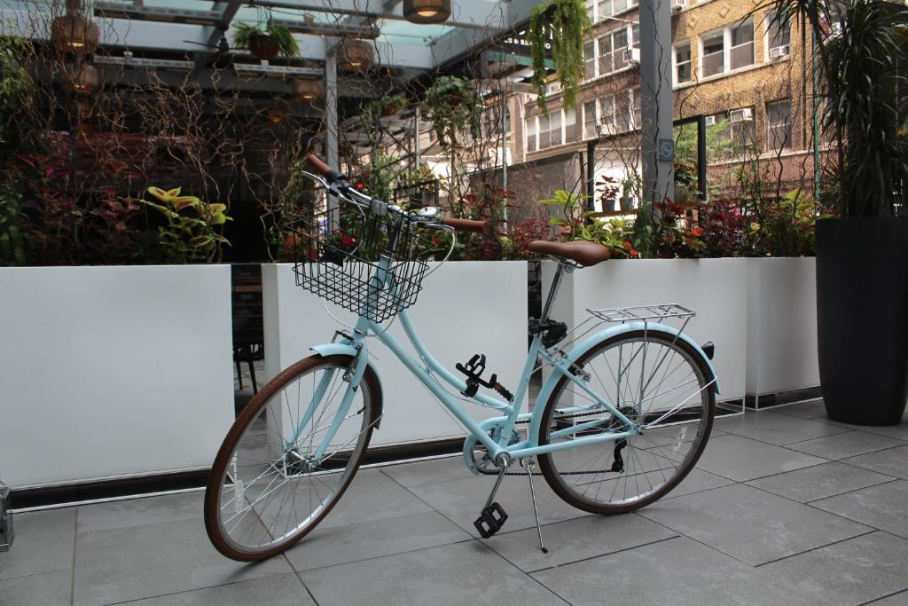 Jízda na kole v ubytování INNSiDE by Meliá New York Nomad nebo okolí