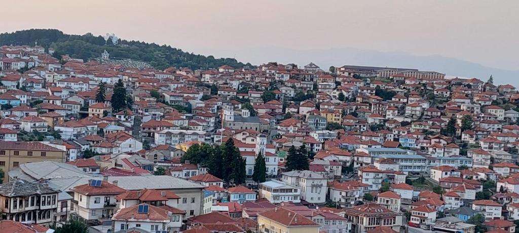 a view of a city with houses and roofs at Vila Marija in Kruševo