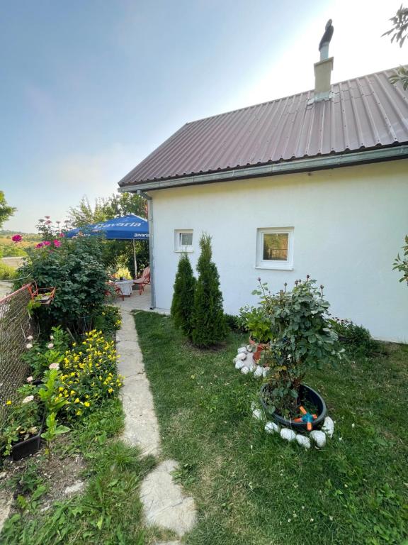 una casa blanca con algunas plantas en el patio en Vikendica Vrba, en Gacko
