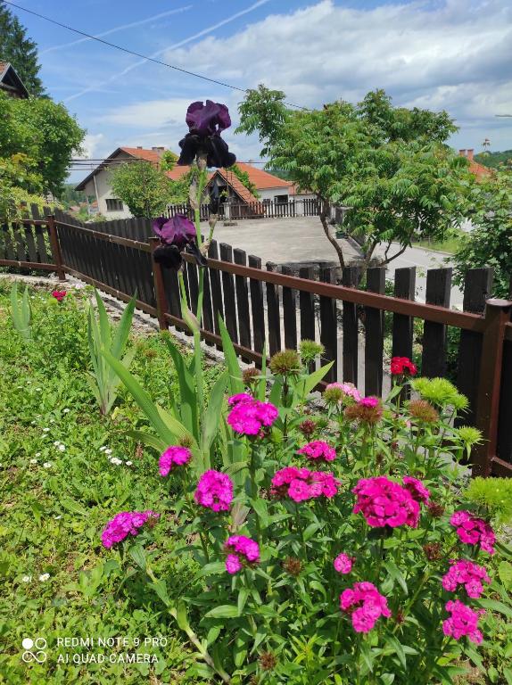 un jardín con flores rosas frente a una valla en Apartman Domi en Slunj