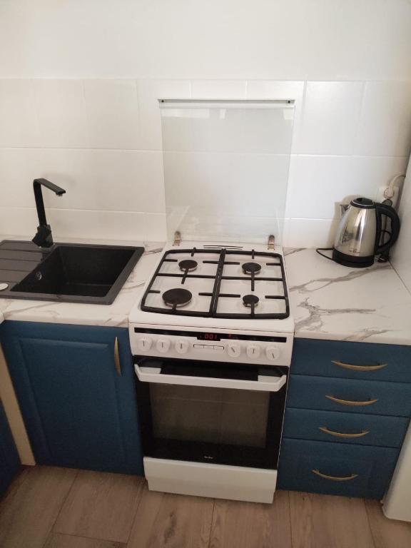 Kuchyňa alebo kuchynka v ubytovaní Apartament Aksamitny