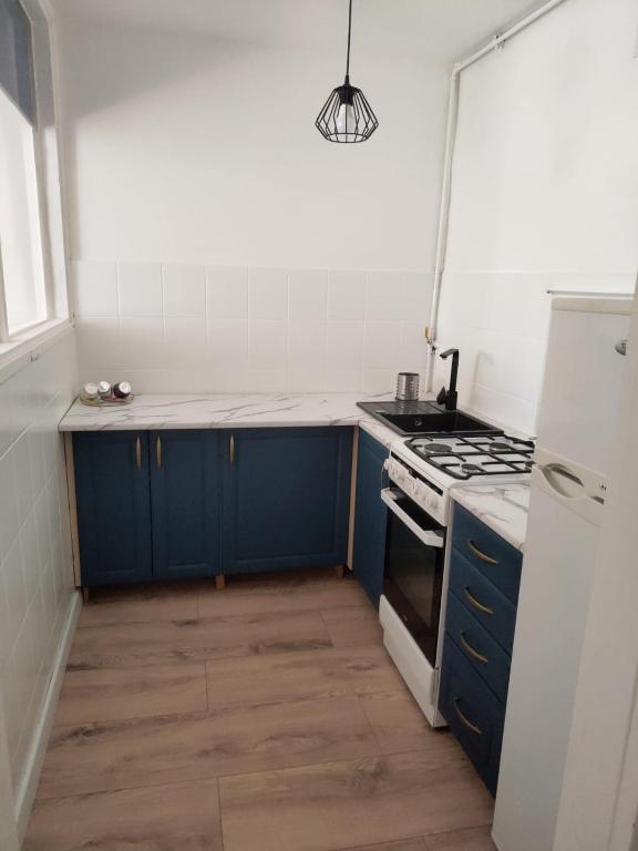 Kuchyňa alebo kuchynka v ubytovaní Apartament Aksamitny