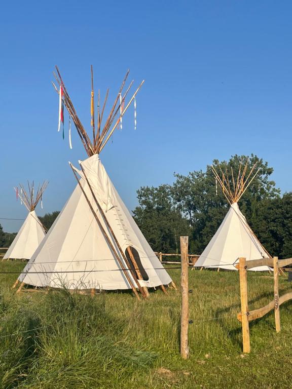 eine Gruppe von drei Zelten auf einem Feld in der Unterkunft Terra-Tipike, Tipi à la ferme entre Terre et Mer in Trébry